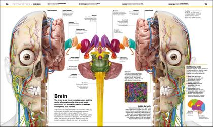 Imagem de Livro DK Enciclopédia do Conhecimento Corpo Humano