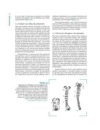 Imagem de Livro - Embriologia