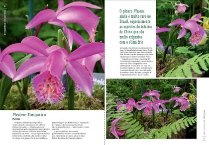 Imagem de Livro - Enciclopédia das Orquídeas - Volume 19