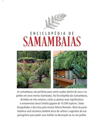 Imagem de Livro - Enciclopédia de Samambaias - Volume 2