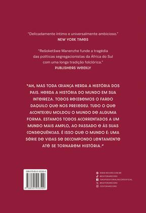 Imagem de Livro - Errantes