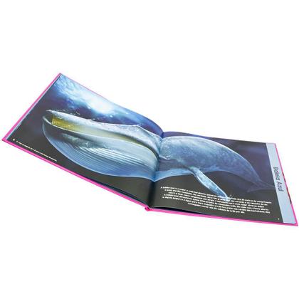 Imagem de Livro - Explorando o Mundo: Animais dos Oceanos