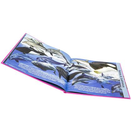 Imagem de Livro - Explorando o Mundo: Animais dos Oceanos