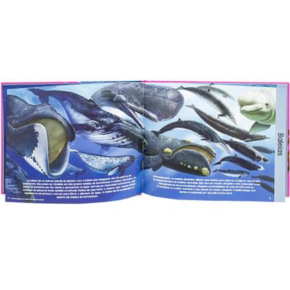 Imagem de Livro - Explorando o Mundo: Animais dos Oceanos