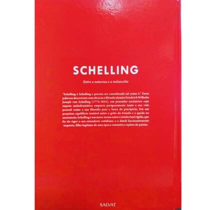 Imagem de Livro Físico Coleção Descobrindo a Filosofia Volume 49 Schelling Davide Sisto Entre a Natureza e a Melancolia - Salvat