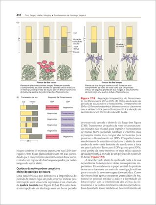 Imagem de Livro - Fisiologia e Desenvolvimento Vegetal 7ed.