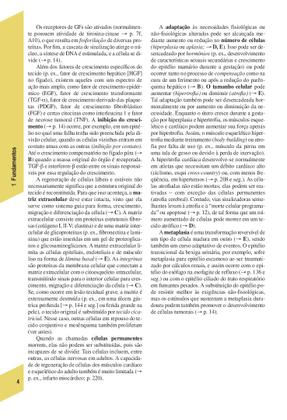 Imagem de Livro - Fisiopatologia