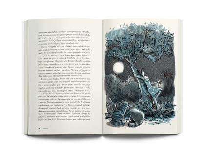 Imagem de Livro - Flores falastronas