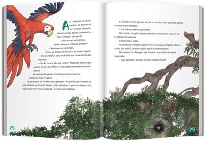 Imagem de Livro - Floresta dos mistérios
