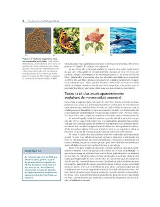 Imagem de Livro - Fundamentos da Biologia Celular