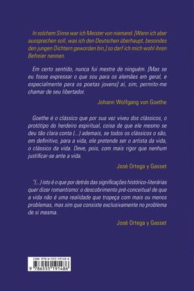 Imagem de Livro - Goethe o libertador