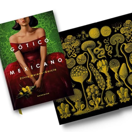 Imagem de Livro - Gótico Mexicano