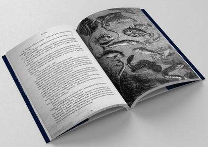 Imagem de Livro - Grandes Obras de Júlio Verne - Box com 3 Livros