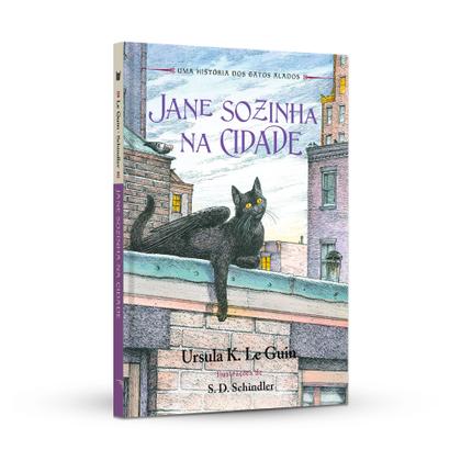 Imagem de Livro - Jane sozinha na cidade