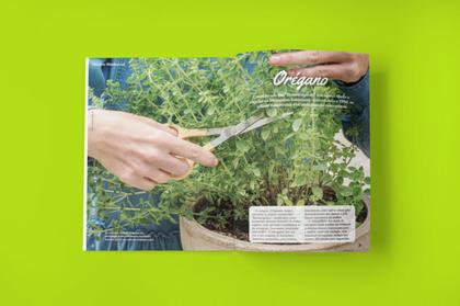 Imagem de Livro - Jardim Medicinal - Volume 10: Ervas para TPM, Saúde Íntima e Menopausa