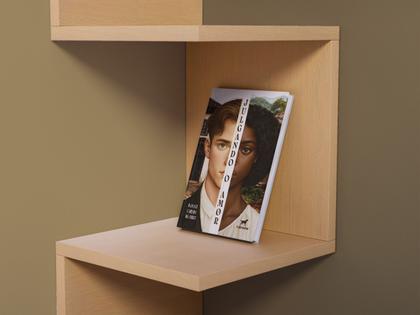 Imagem de Livro - Julgando o amor