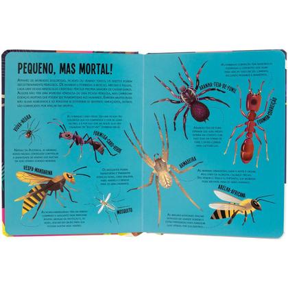 Livro - Lanterna - Procure e encontre! Insetos Imagem de Livro - Lanterna - Procure e encontre! Insetos