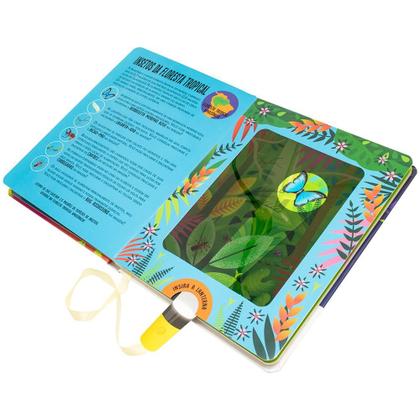 Livro - Lanterna - Procure e encontre! Insetos Imagem de Livro - Lanterna - Procure e encontre! Insetos