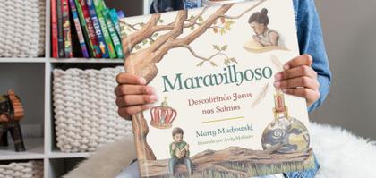 Imagem de Livro - Maravilhoso