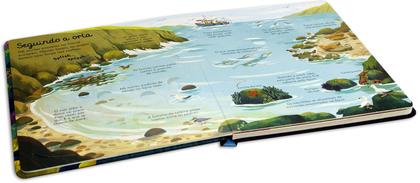Imagem de Livro - Mares E Oceanos: Abra E Descubra!