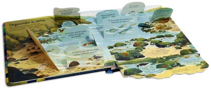 Imagem de Livro - Mares E Oceanos: Abra E Descubra!