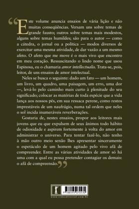 Imagem de Livro - Meditações do Quixote