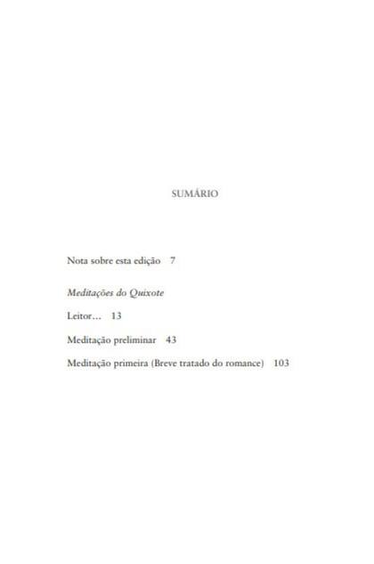 Imagem de Livro - Meditações do Quixote