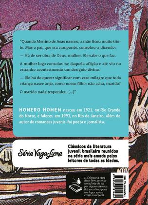 Imagem de Livro - Menino de asas