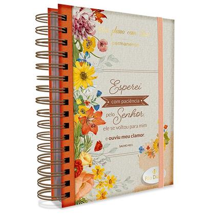 Imagem de Livro - Meu plano com Deus - Esperei com paciência