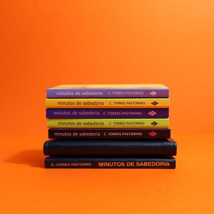 Imagem de Livro - Minutos de sabedoria - capa plástica