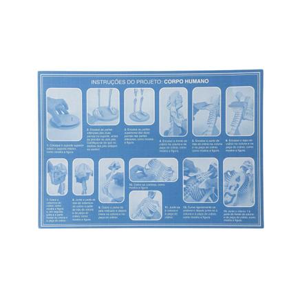 Imagem de Livro - Montar e Aprender: O Incrível e Impressionante Corpo Humano - Com Modelo 3D do Corpo Humano!