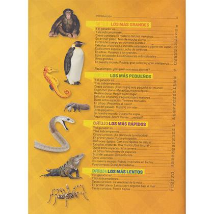 Imagem de Livro National Geographic Récords Animales Enciclopédia Ilustrada Animais Em Espanhol 
