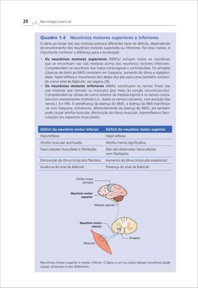 Imagem de Livro - Neurologia Essencial