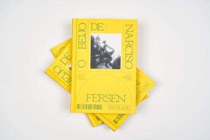 Imagem de Livro - O Beijo de Narciso