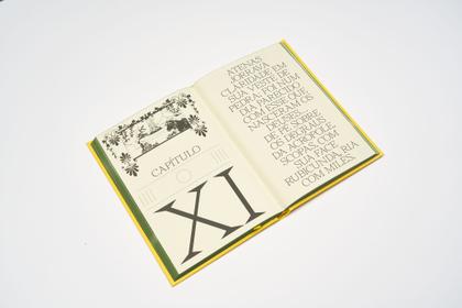 Imagem de Livro - O Beijo de Narciso