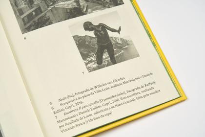 Imagem de Livro - O Beijo de Narciso