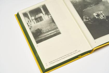 Imagem de Livro - O Beijo de Narciso