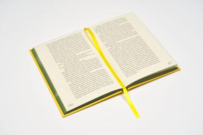 Imagem de Livro - O Beijo de Narciso