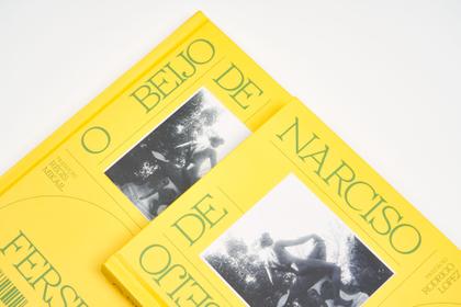 Imagem de Livro - O Beijo de Narciso