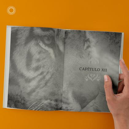 Imagem de Livro - O caminho do buscador