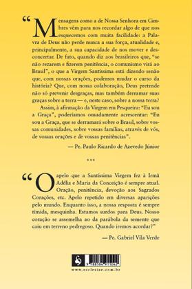 Imagem de Livro - O diário do silêncio - O alerta da Virgem Maria ao Brasil