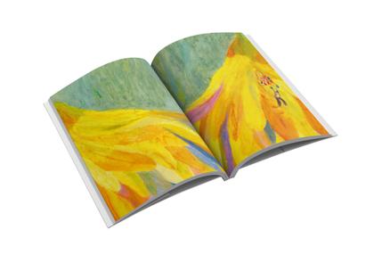 Imagem de Livro - O duelo