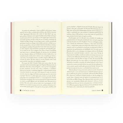 Imagem de Livro - O enfermeiro da noite