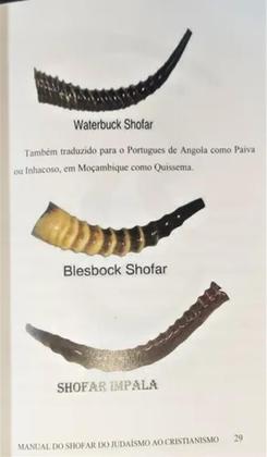 Imagem de Livro - O Manual Do Shofar - Do Judaismo Ao Cristianismo - Maranata Shofar