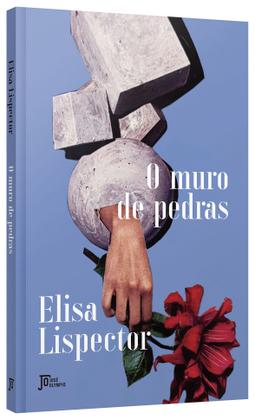 Imagem de Livro - O muro de pedras