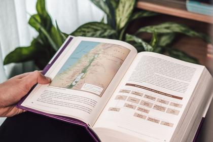 Imagem de Livro - O Novo Testamento em seu mundo