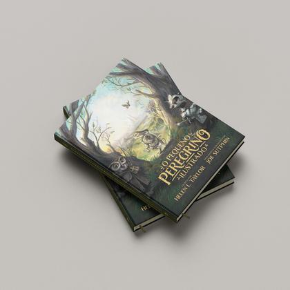Imagem de Livro - O pequeno peregrino ilustrado — Edição de luxo com capa dura