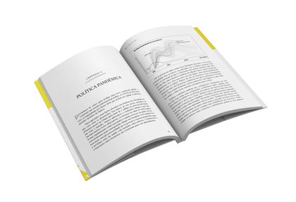 Imagem de Livro - O poder da crise