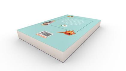 Imagem de Livro - O Verão Que Mudou Minha Vida