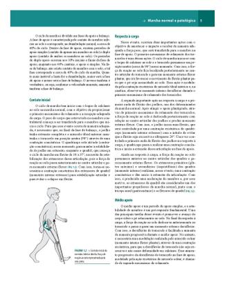 Imagem de Livro - Ortopedia e Traumatologia